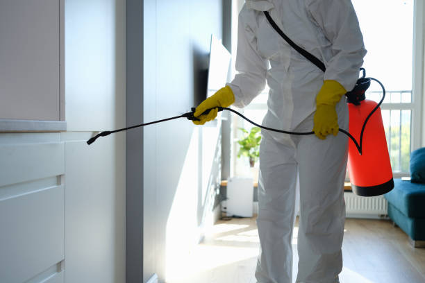 Best Home Mold Removal  in Bridgeton, MO