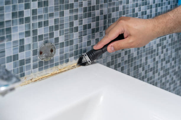 Best Mold Testing  in Bridgeton, MO